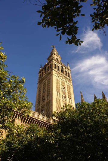 flamenco-studio-seville-trips-giralda-day